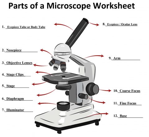How to Draw a Microscope - Easy Drawing Art