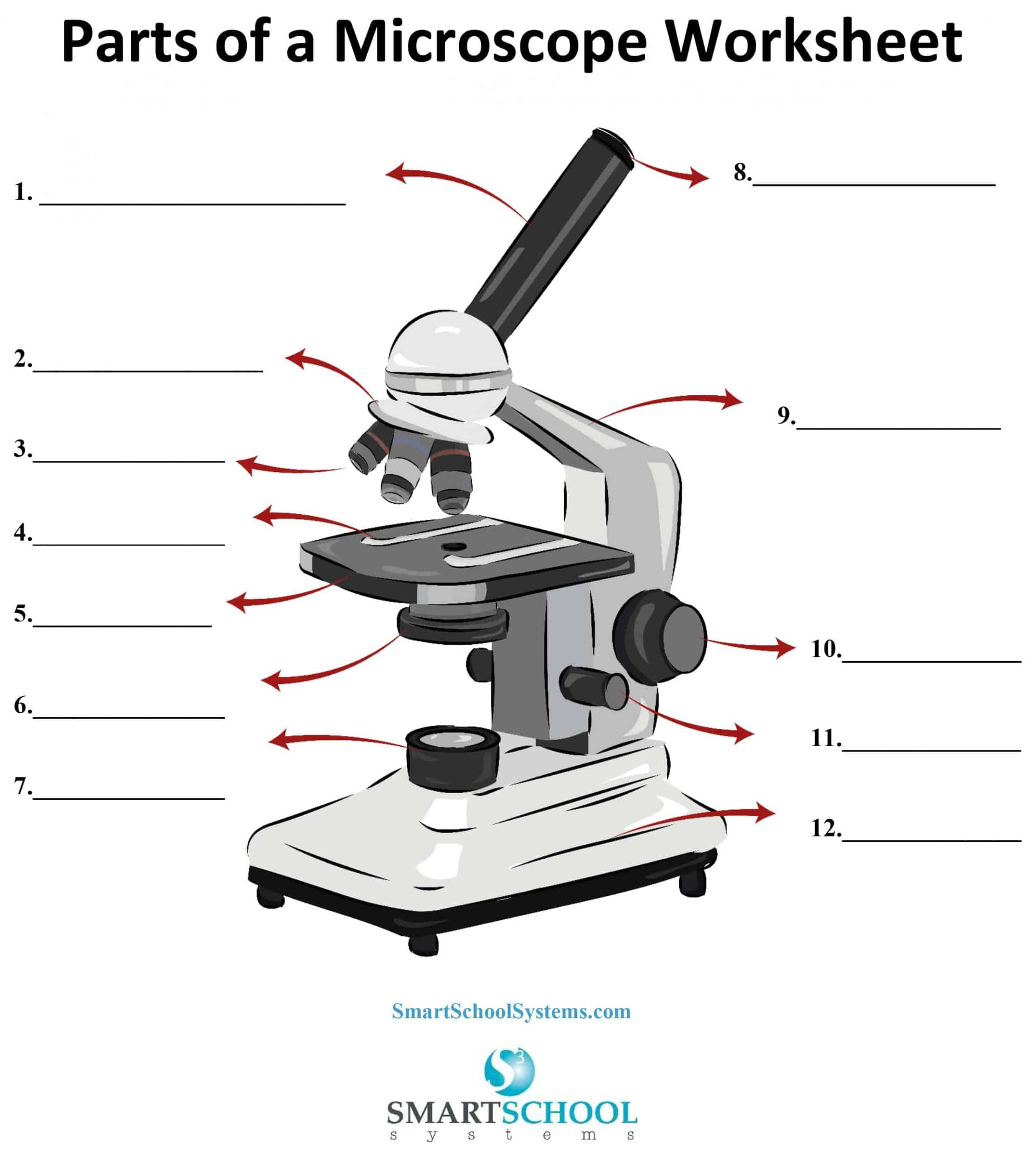 Parts of a Microscope with Their Functions • Microbe Online